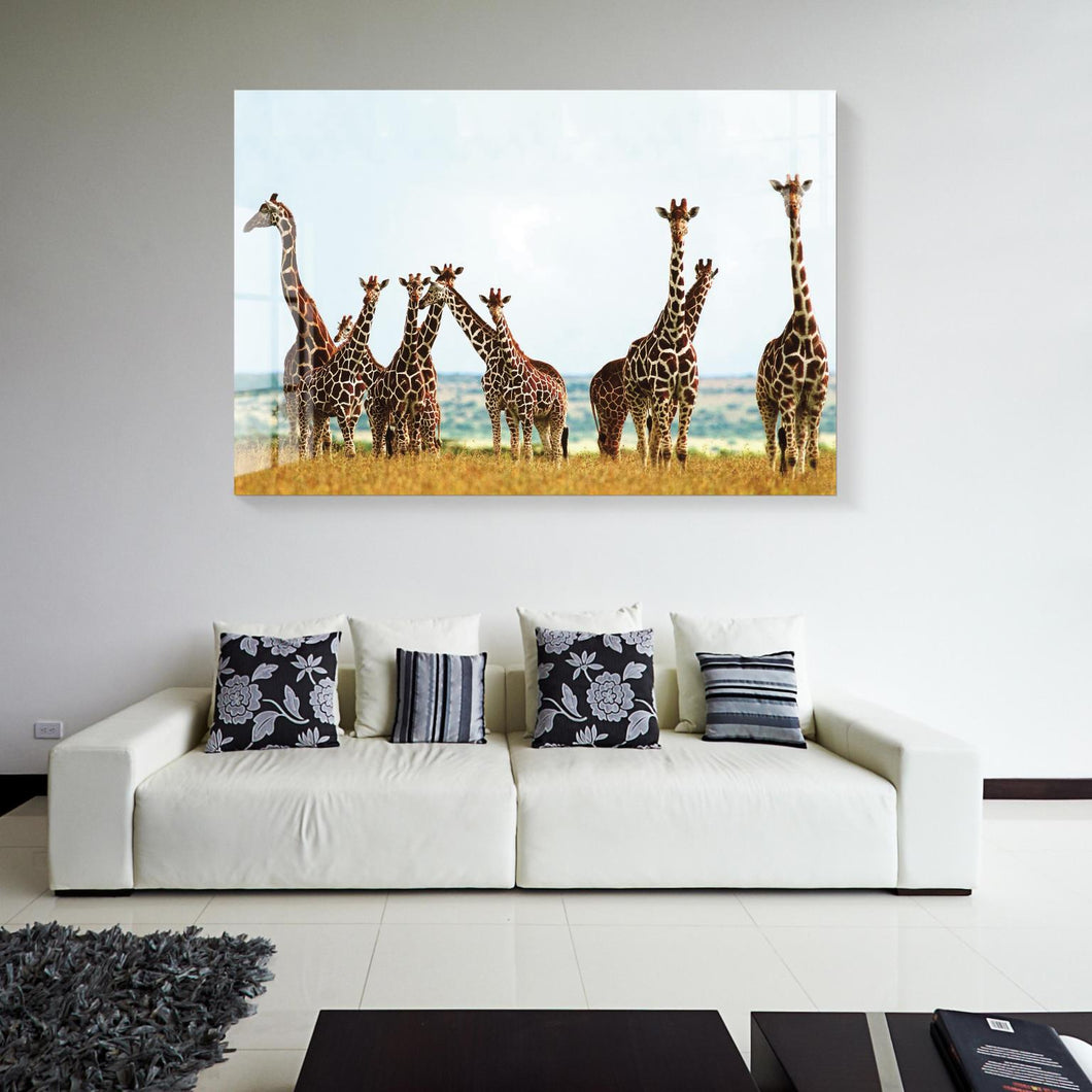 Tempered Glass Giraffes